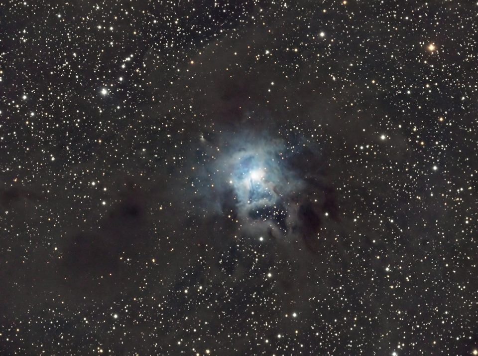 NGC-7023 Iris Nebula