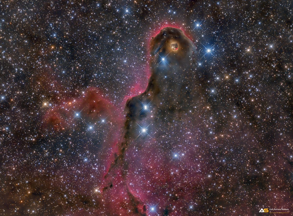 VDB-142/Elephant's Trunk Nebula